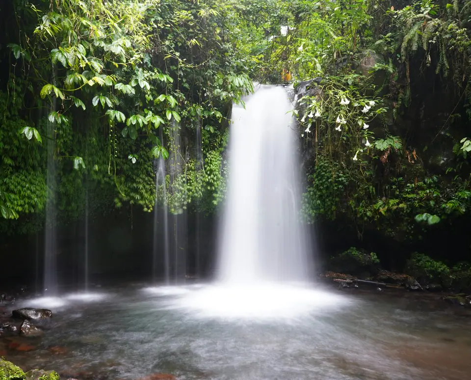 Waterfall in the Bali jungle