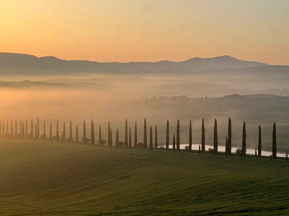 Rolling green Tuscan hills with a line of tall cypress trees along a winding gravel road to a stone farmhouse