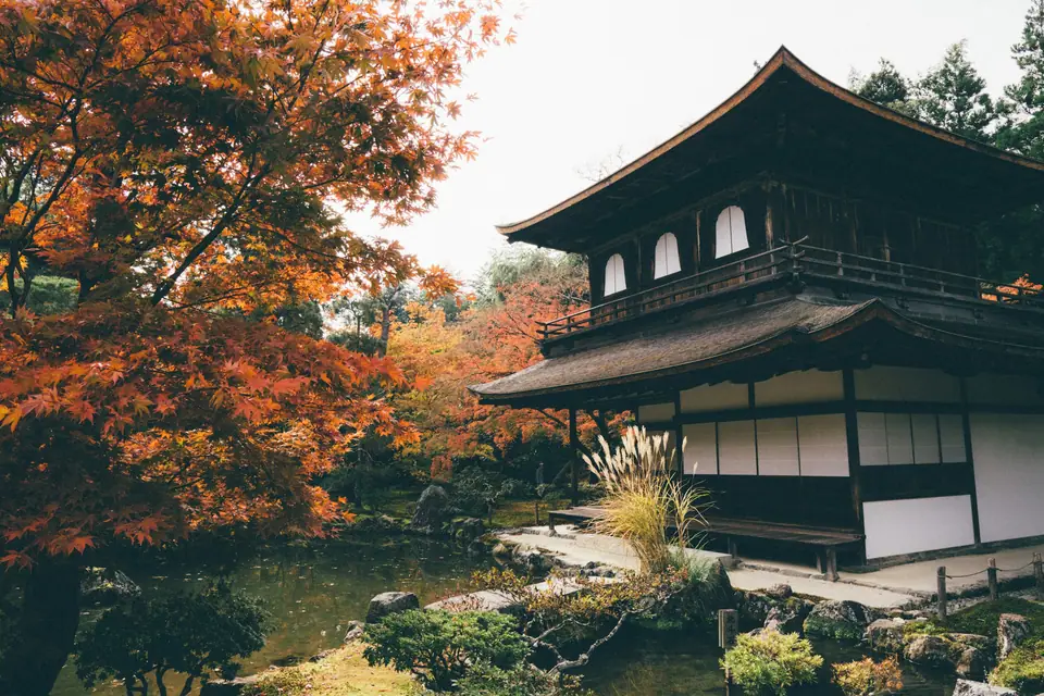 Autumn maples around a Kyoto temple