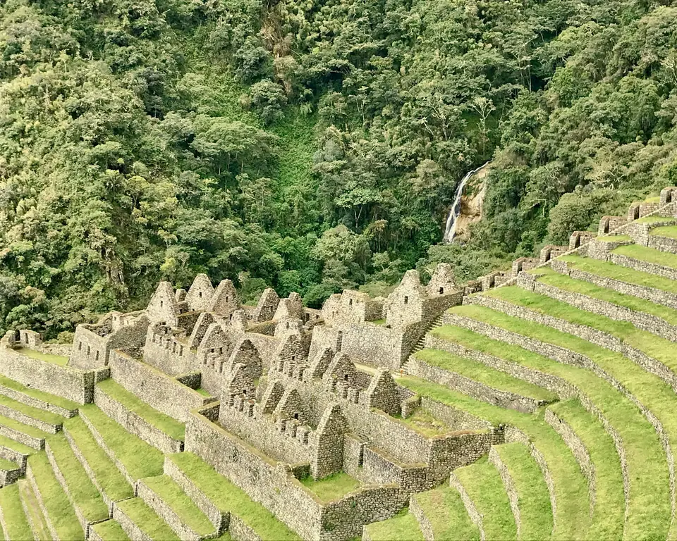 Inca terraces in the cloud forest