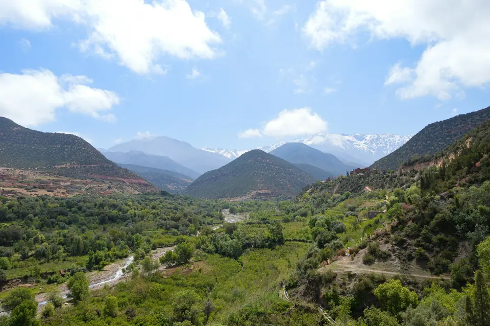 Green valley below the High Atlas mountains near Marrakech in spring