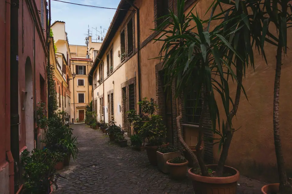 Narrow cobbled lane with plants in Rome